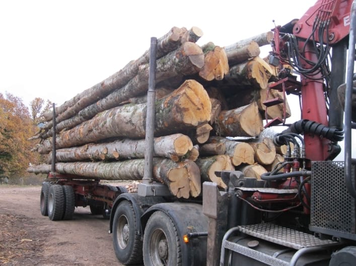 Bois de chauffage 2m et grumes par camion complet